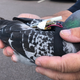 Los investigadores utilizan palomas mensajeras para recoger datos sobre el clima.